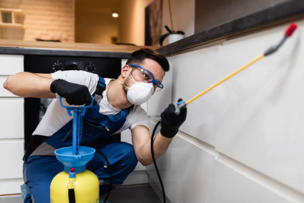 Best Pest Control for Businesses  in Lincoln, AL