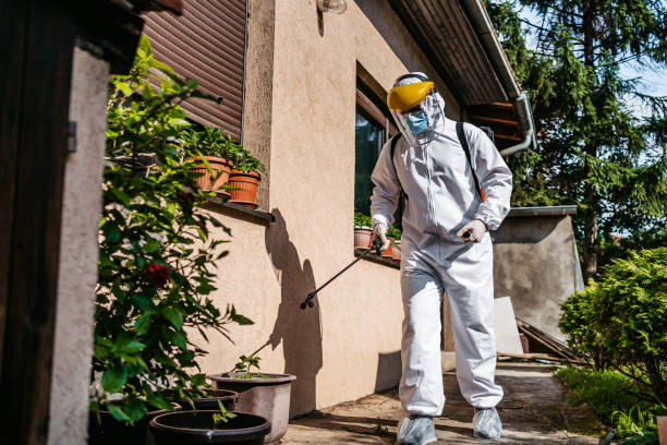 Best Pest Control Near Me in Lincoln, AL