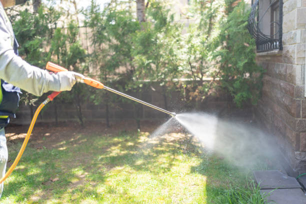Best Spider Control Near Me  in Lincoln, AL