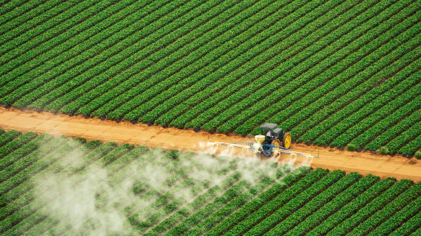 Best Pest Control Near Me  in Lincoln, AL